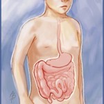 A Link Between Autism And Gastrointestinal (GI) Issues